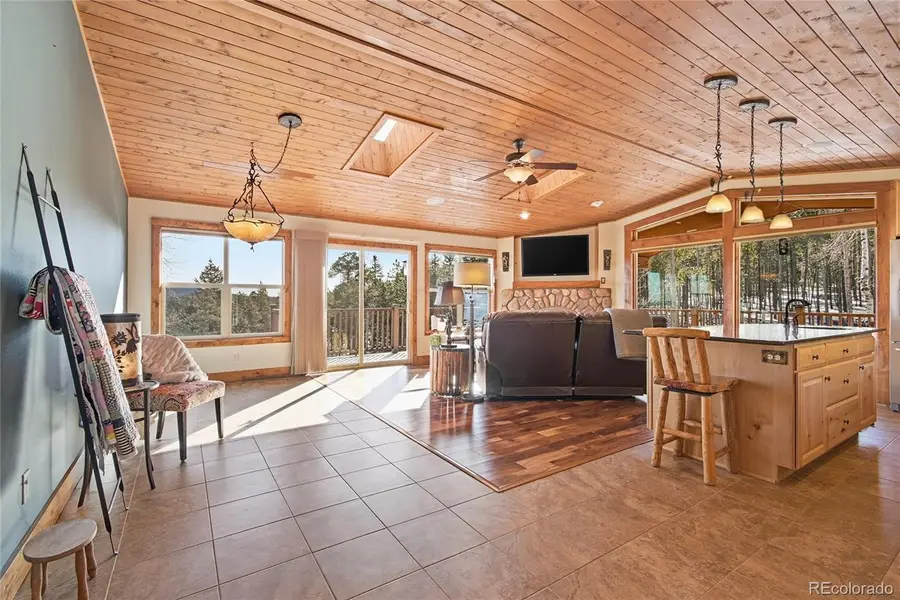 8790 S Warhawk Road, Conifer, CO 80433 - #3