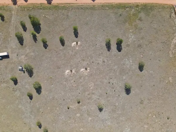 300 S Deer Mountain Road, Florissant, CO 80816