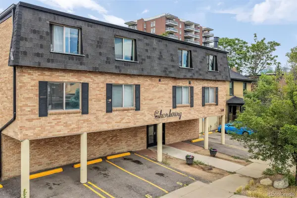558 N Washington Street #203, Denver, CO 80203