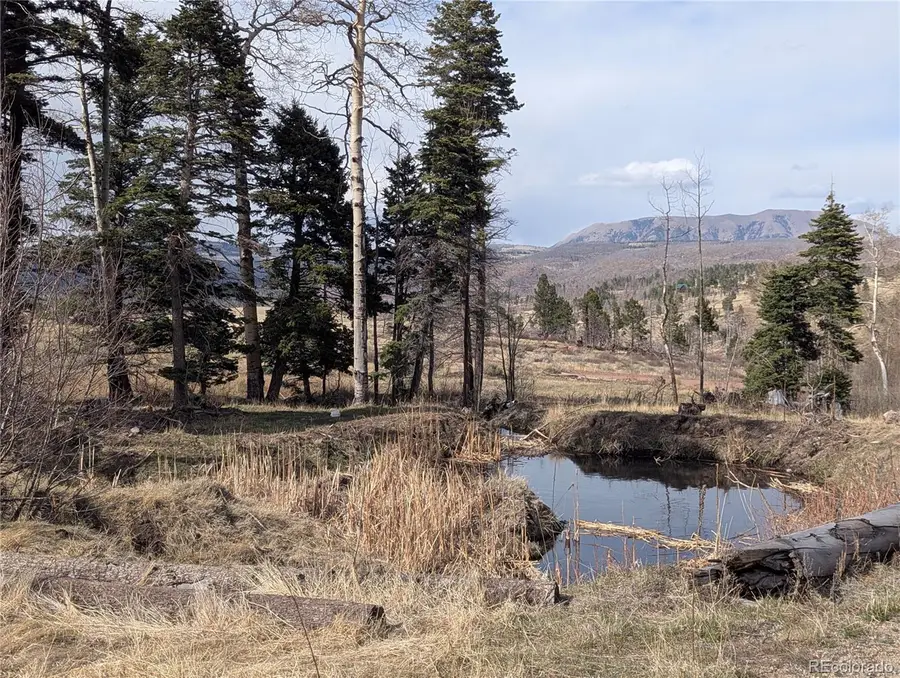 776 Forbes Park Road, Fort Garland, CO 81133 - #2