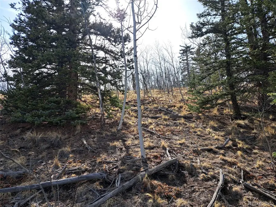 93 Wyandot Way, Como, CO 80432 - #3