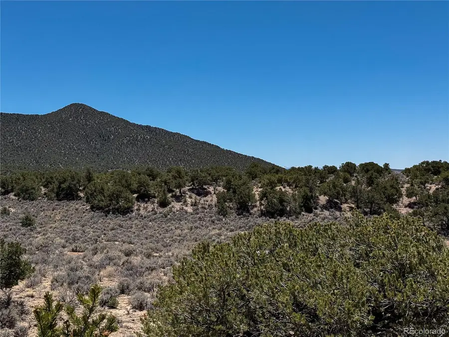 Lot 1058 Hotchkiss Road, Fort Garland, CO 81133 - #3