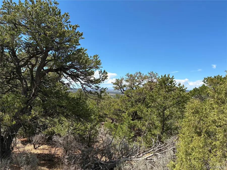 LOT 7180 Freylinghuysen, Fort Garland, CO 81133 - #3