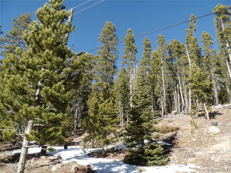 0 Loch Lomond Road, Idaho Springs, CO 80452 - #3
