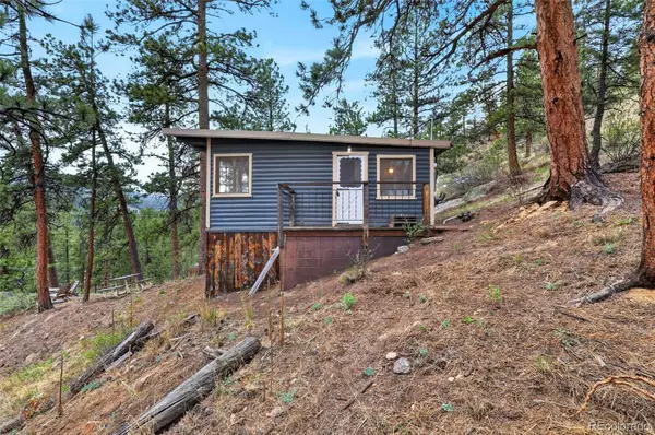354 Mesa Drive, Evergreen, CO 80439