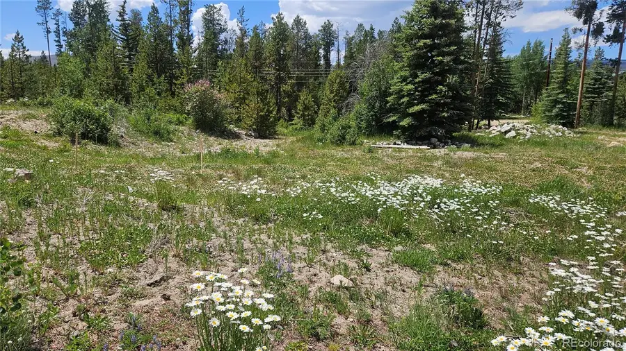 118 Gcr 4947, Grand Lake, CO 80447 - #3