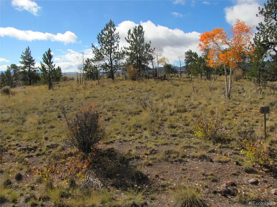 206 Bandolier Court, Hartsel, CO 80449 - #2