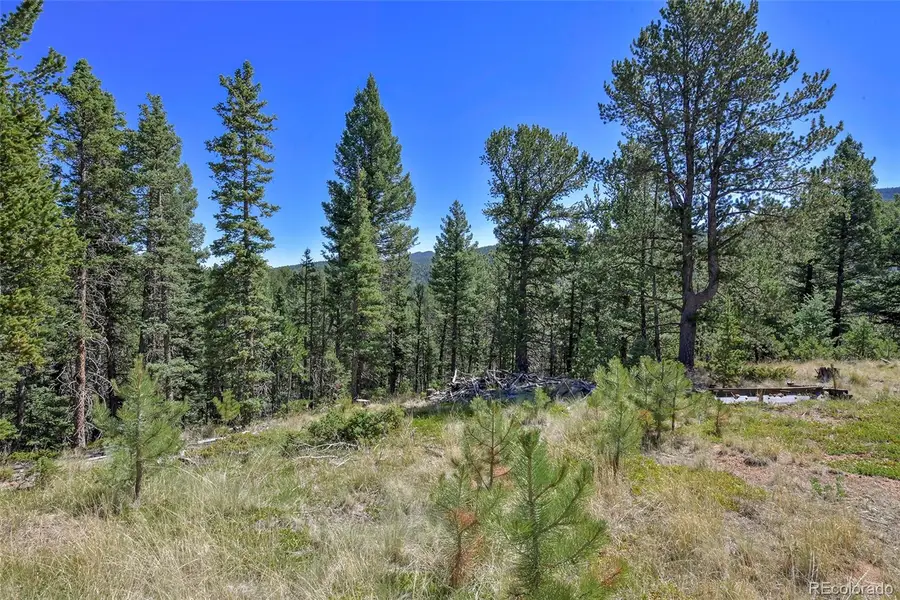 20083 S State Highway 67, Divide, CO 80814 - #3