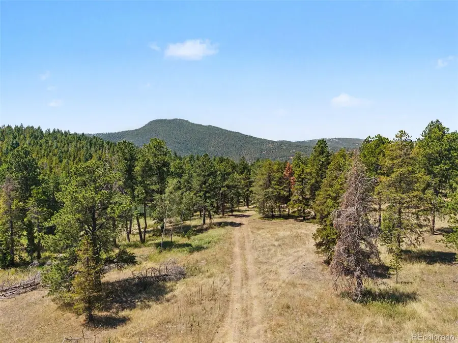 23300 Pleasant Park Road, Conifer, CO 80433 - #2