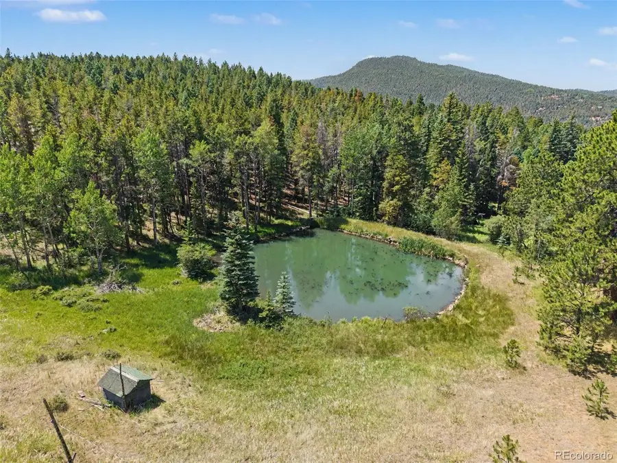 23300 Pleasant Park Road, Conifer, CO 80433 - #3