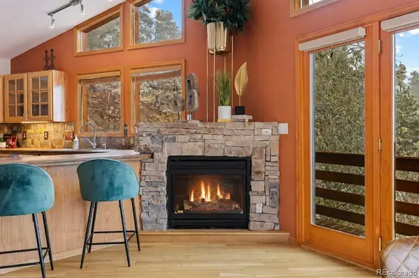 745 N Pine Drive, Bailey, CO 80421