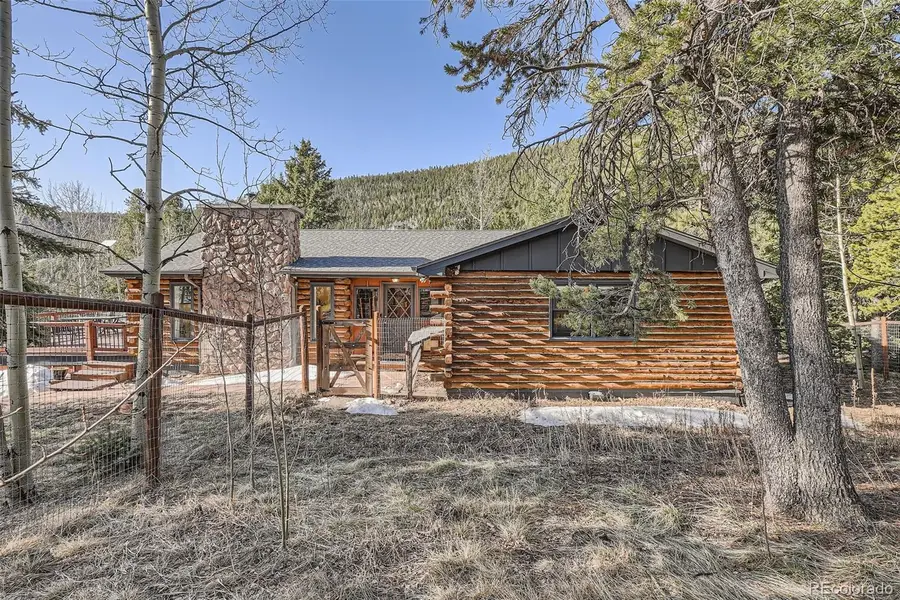 10439 Christopher Drive, Conifer, CO 80433 - Image #3