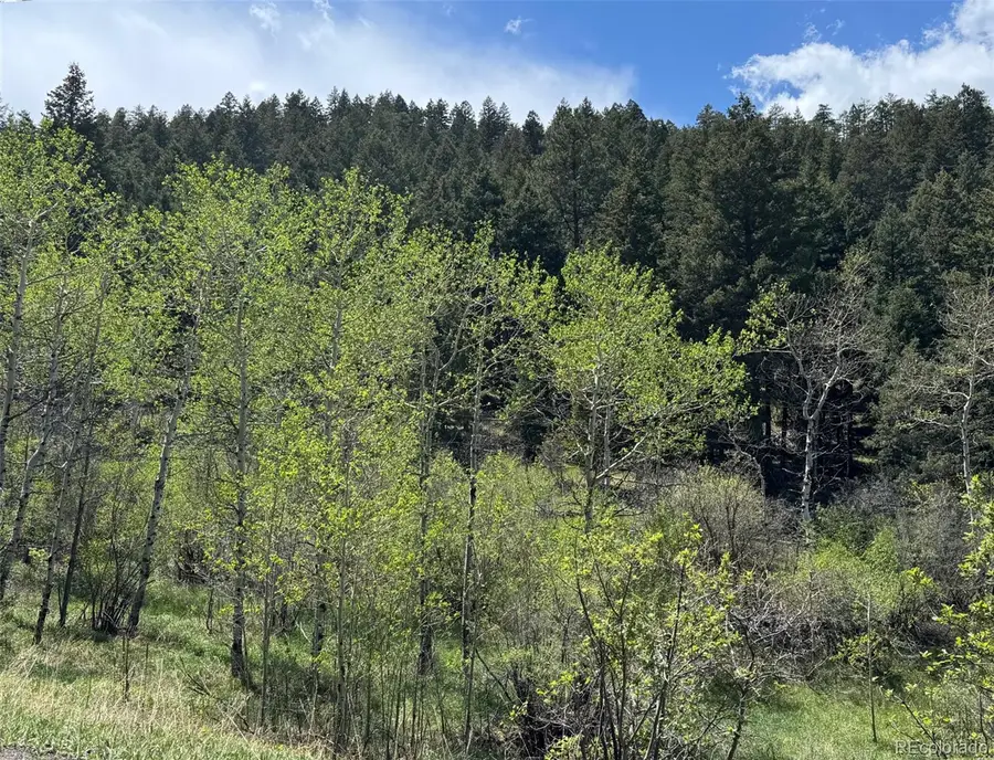 S Maxwell Hill Road, Littleton, CO 80127 - #2