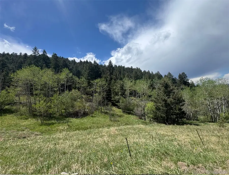 S Maxwell Hill Road, Littleton, CO 80127 - #3