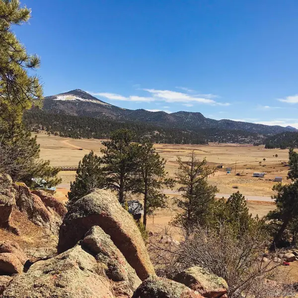 5915 County Rd 11, Florissant, CO 80816