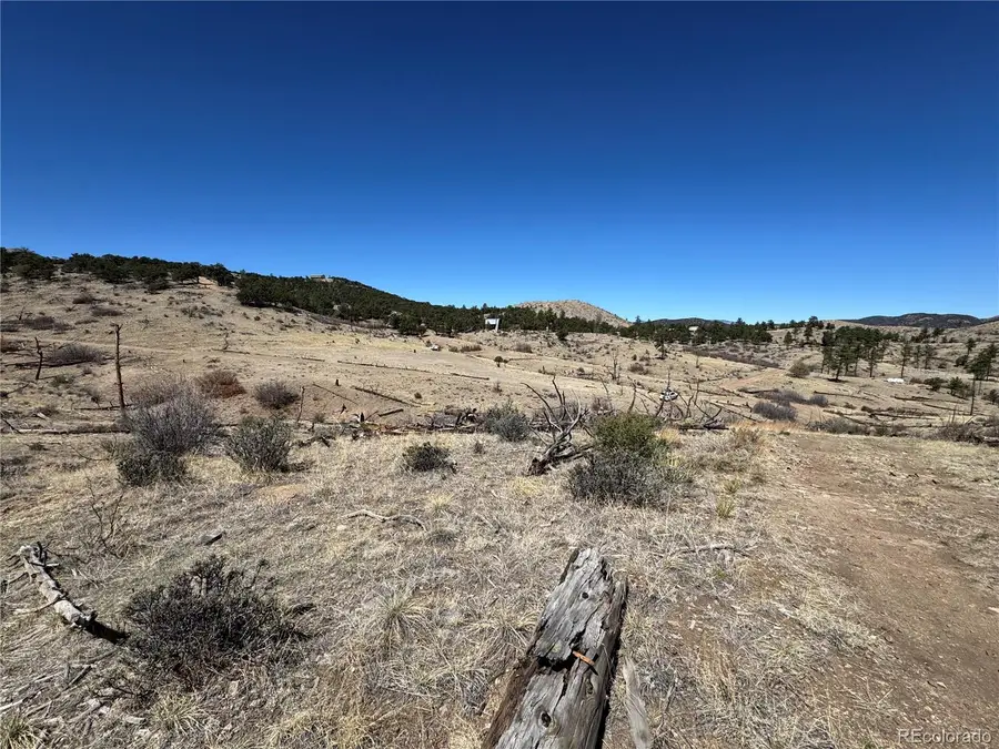 TBD 32nd F Path, Cotopaxi, CO 81223 - #2