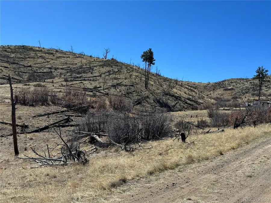 TBD 32nd F Path, Cotopaxi, CO 81223 - #3