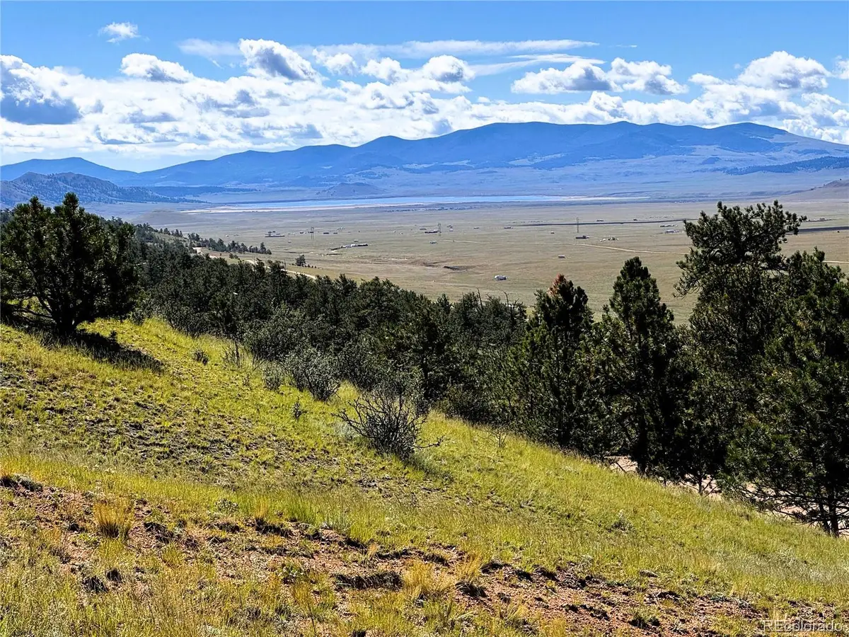 2669 Settele Drive, Hartsel, CO 80449 - #1