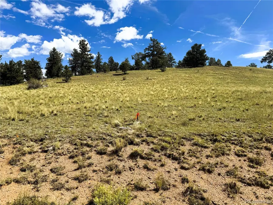 2669 Settele Drive, Hartsel, CO 80449 - #2