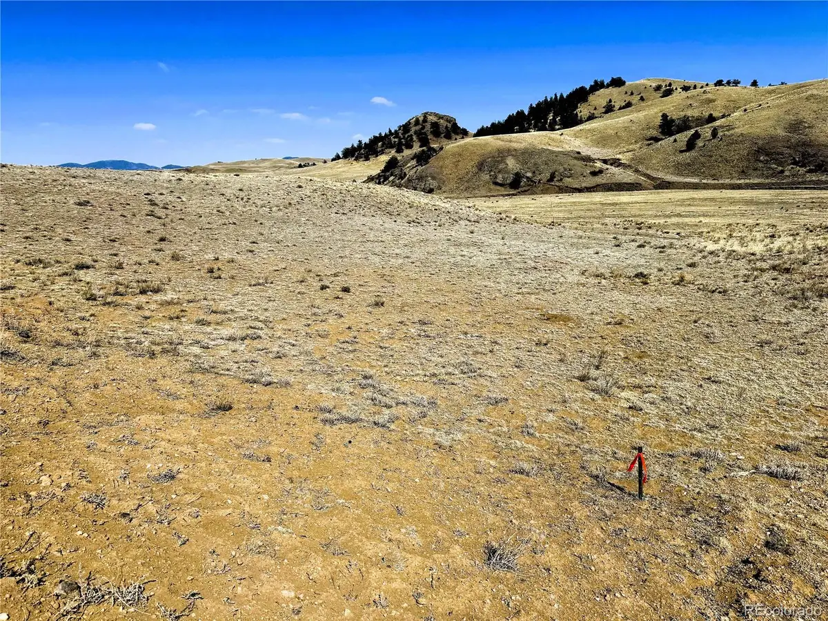 Lot 07 Cahokia Road, Hartsel, CO 80449 - #1