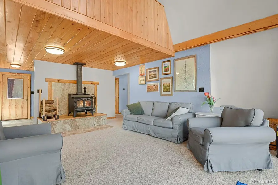 881 Trail Creek Road, Lake George, CO 80827 - #3