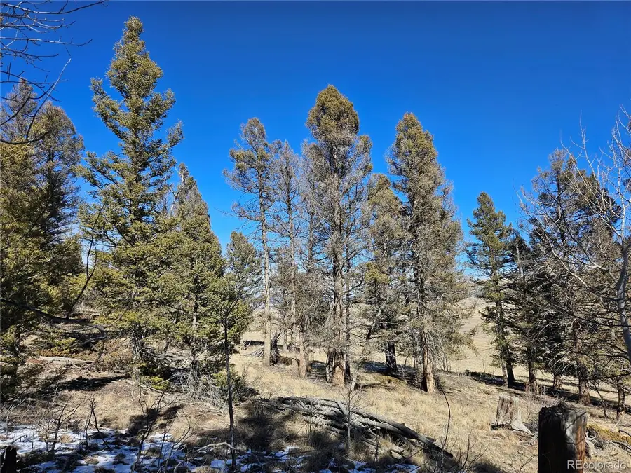 1412 Redhill Road, Fairplay, CO 80440 - #3