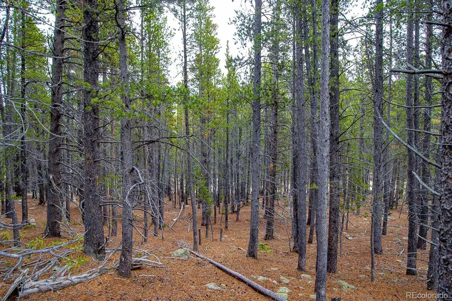 Lot 935 Silver Creek Road, Idaho Springs, CO 80452 - #3