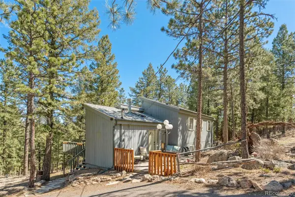 20 Long Ridge Drive, Bailey, CO 80421