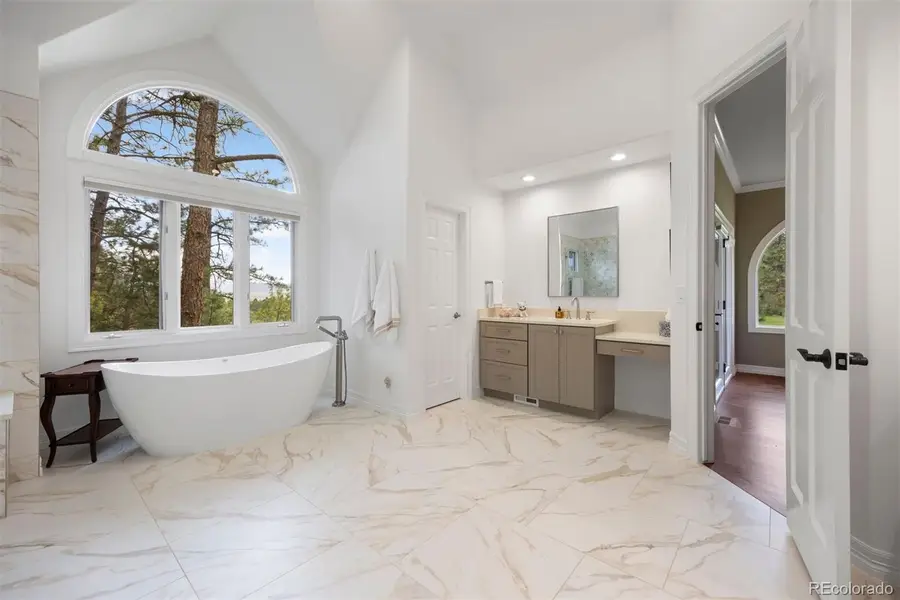 120 Silver Leaf Way, Castle Rock, CO 80108 - Image #3