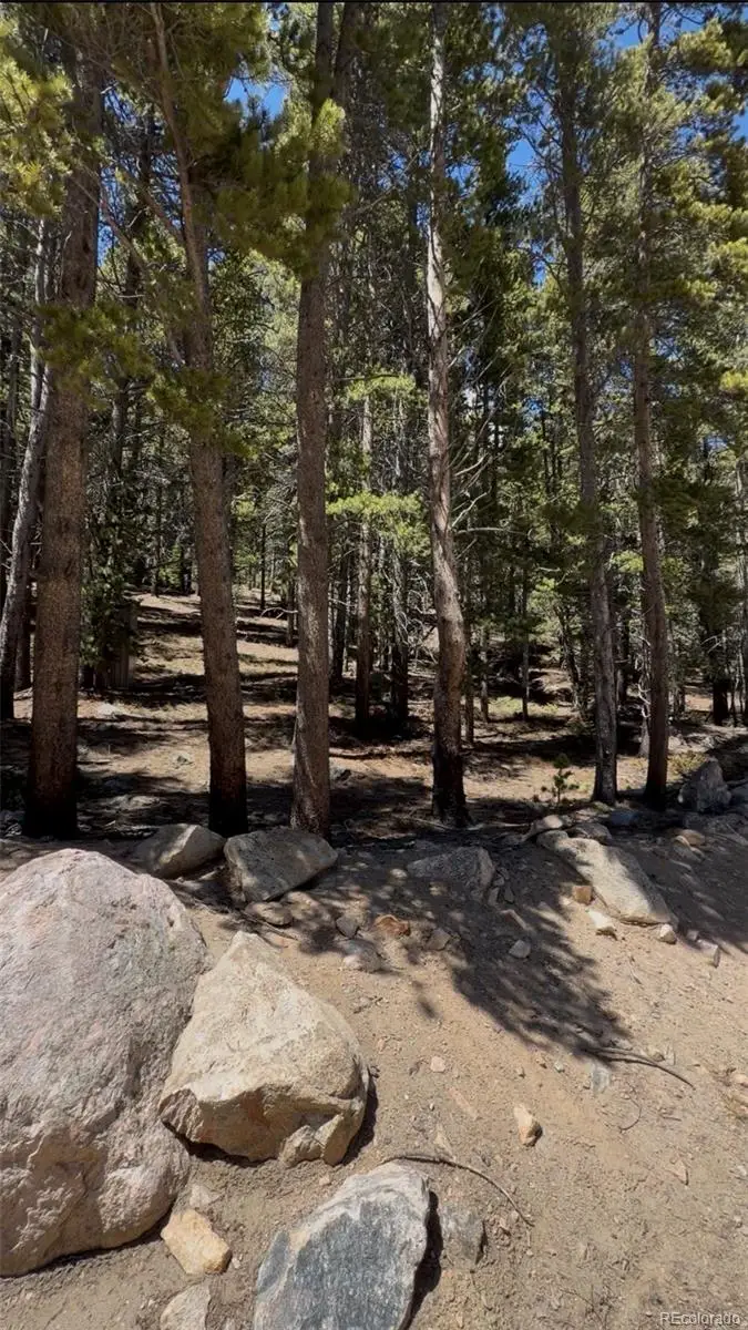 Lot 378 Alice Road, Idaho Springs, CO 80452 - #1