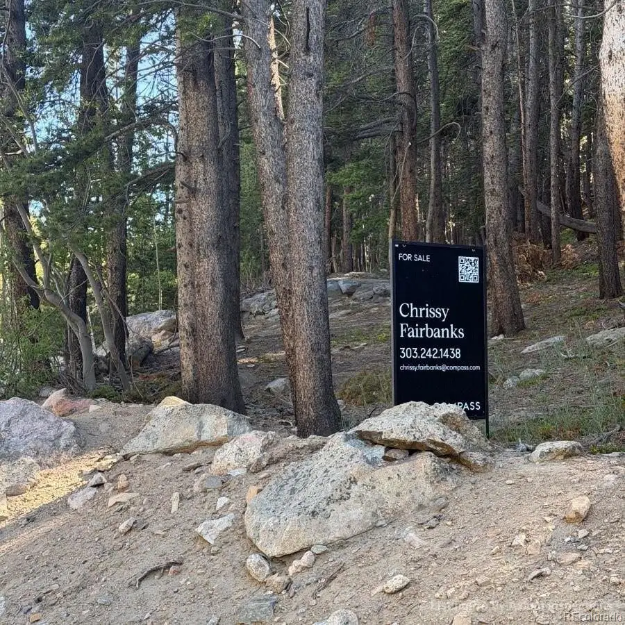 Lot 378 Alice Road, Idaho Springs, CO 80452 - #2
