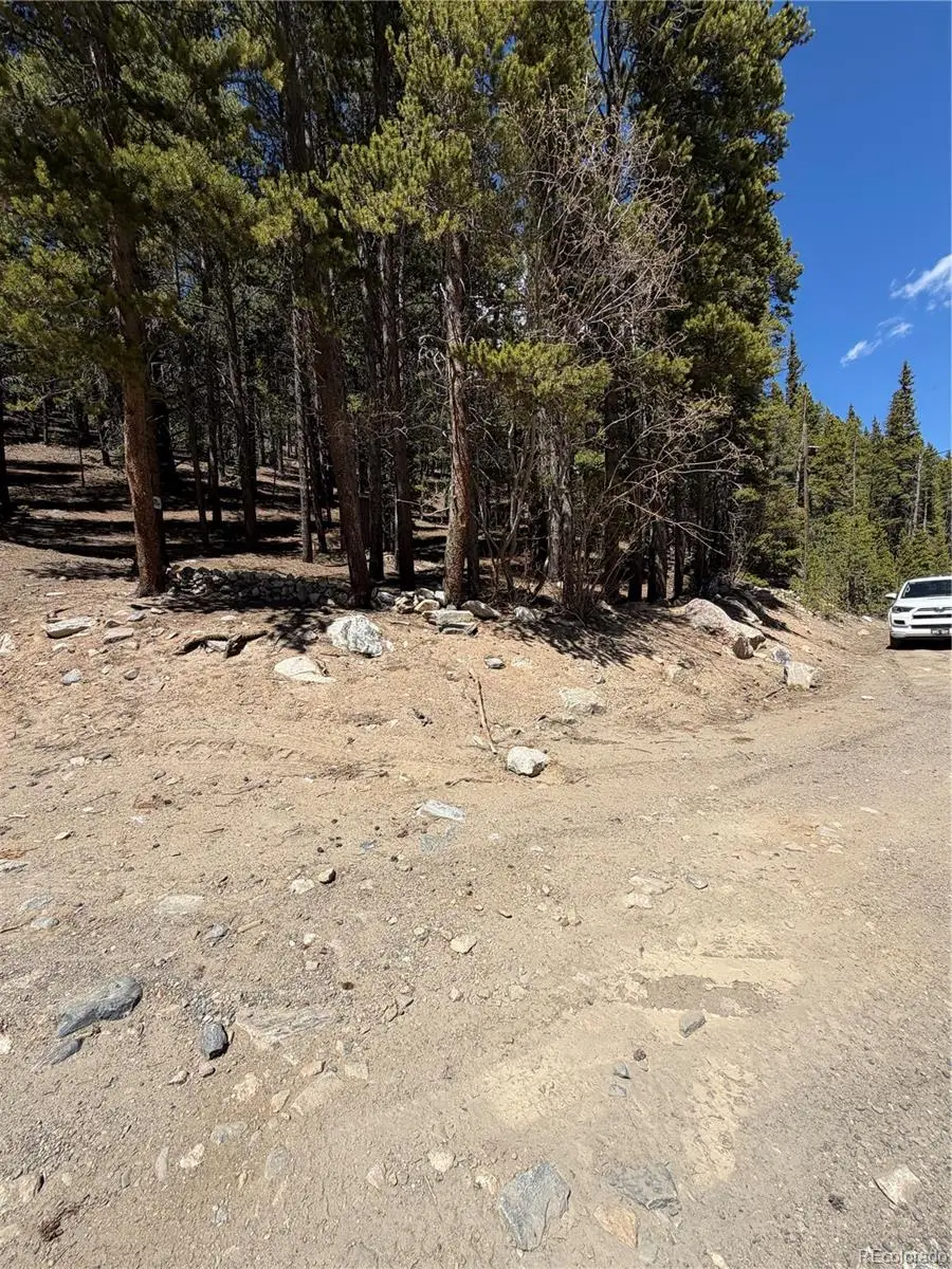 Lot 378 Alice Road, Idaho Springs, CO 80452 - #3