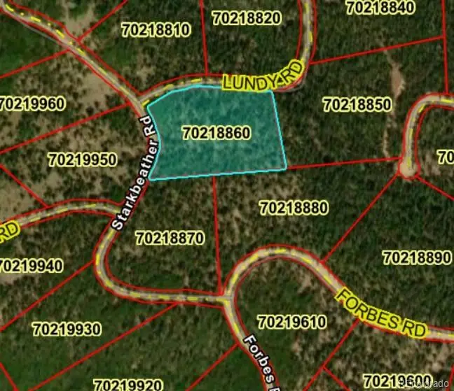 LOT 6613 Starkweather Road, San Luis, CO 81152 - #3