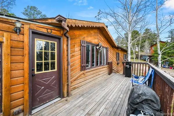 312 S Pine Drive, Bailey, CO 80421