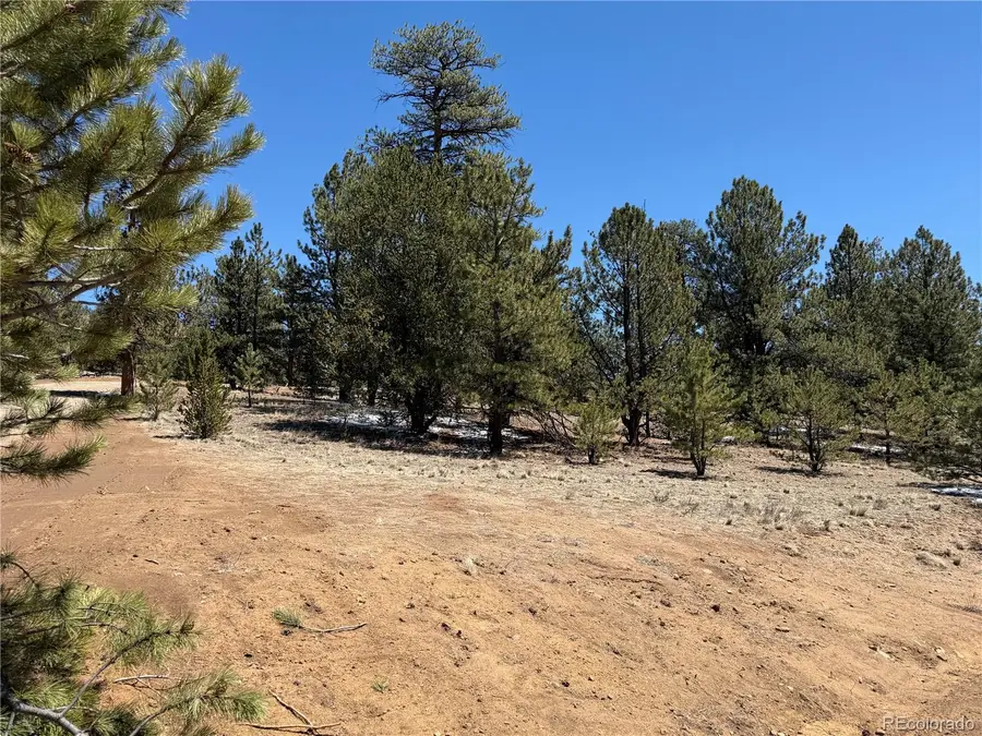 204 Opal Drive, Hartsel, CO 80449 - #3