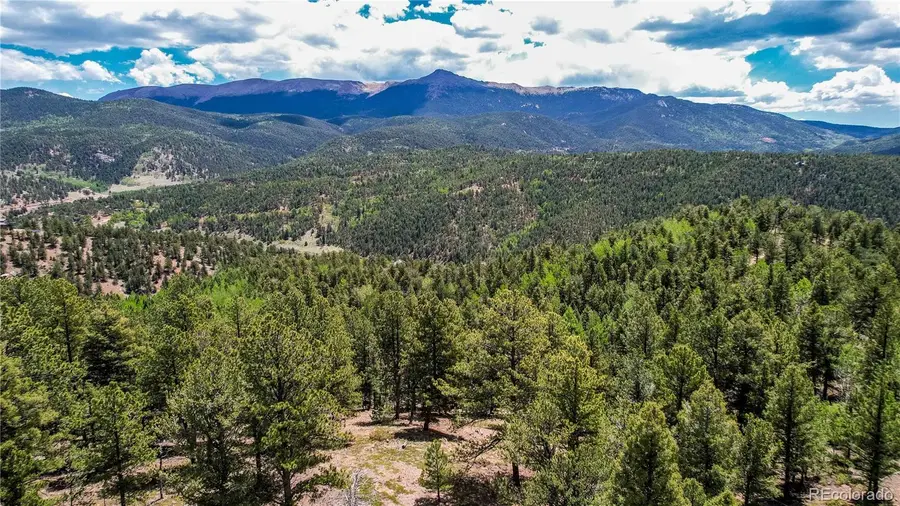 59 Robin Point, Divide, CO 80814 - #2