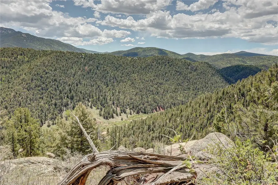 59 Robin Point, Divide, CO 80814 - #3