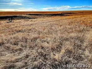 9175 Prospect Way Road, Byers, CO 80103 - Image #2