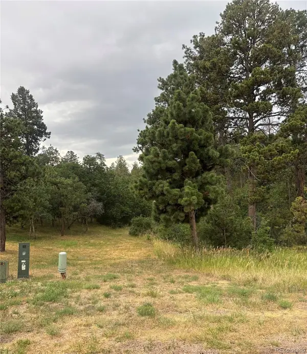 1455 Blueberry Hills Road, Monument, CO 80132