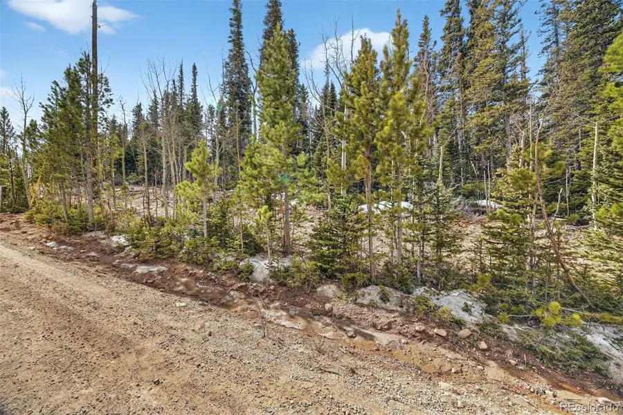 Georgia Pass Lookout Rd, Jefferson, CO 80456 - #3