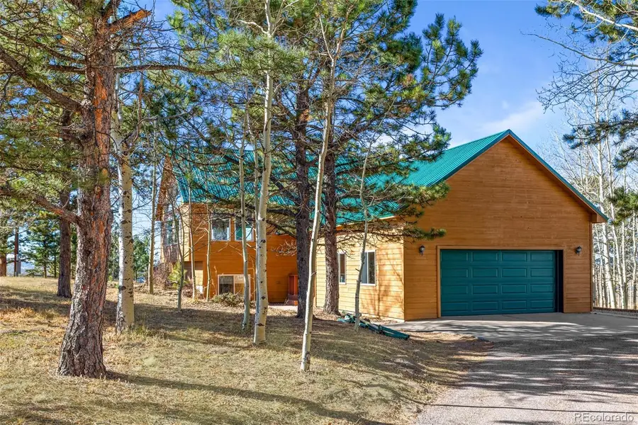 162 Ridge Top Drive, Divide, CO 80814 - #3