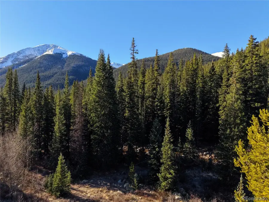 6932 Gold, Leadville, CO 80461 - #3