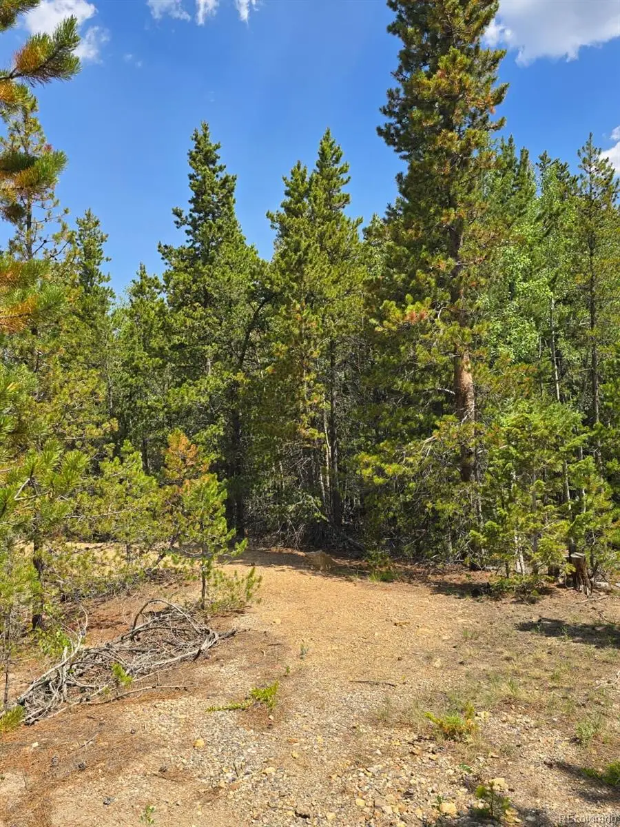 000 Virginia Canyon Road, Central City, CO 80427 - #2