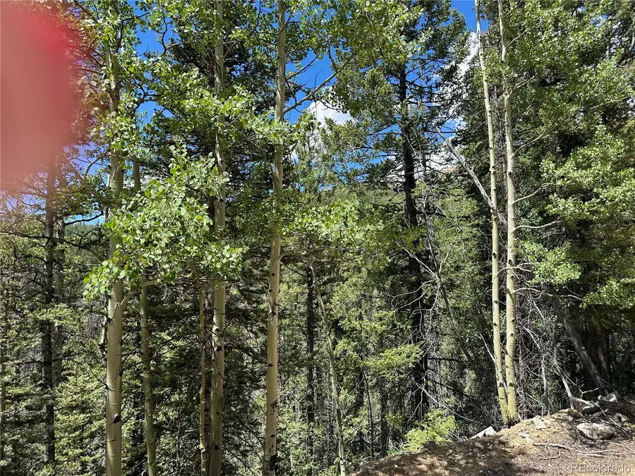 Ryland Road, Fort Garland, CO 81133 - #2