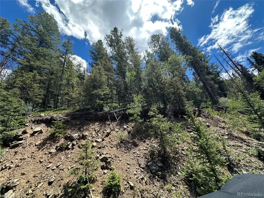 Ryland Road, Fort Garland, CO 81133 - #3