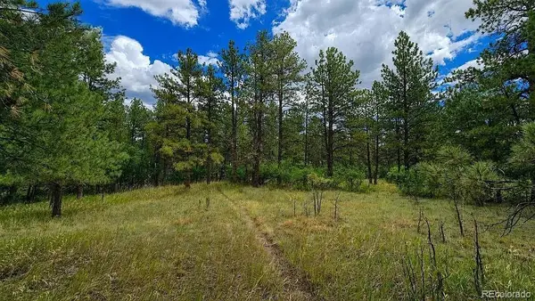 00 Westwood Road, Colorado Springs, CO 80919