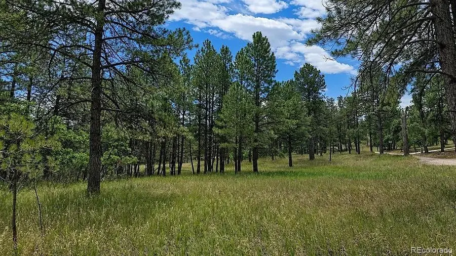 00 Westwood Road, Colorado Springs, CO 80919 - #3