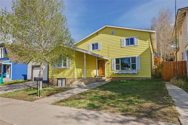 134 W 8th Street, Leadville, CO 80461