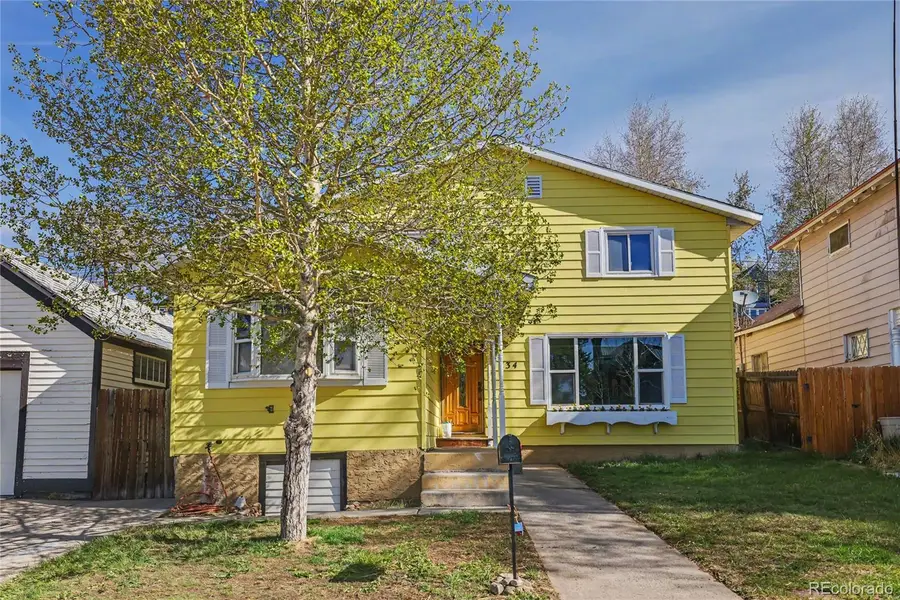 134 W 8th Street, Leadville, CO 80461 - #2