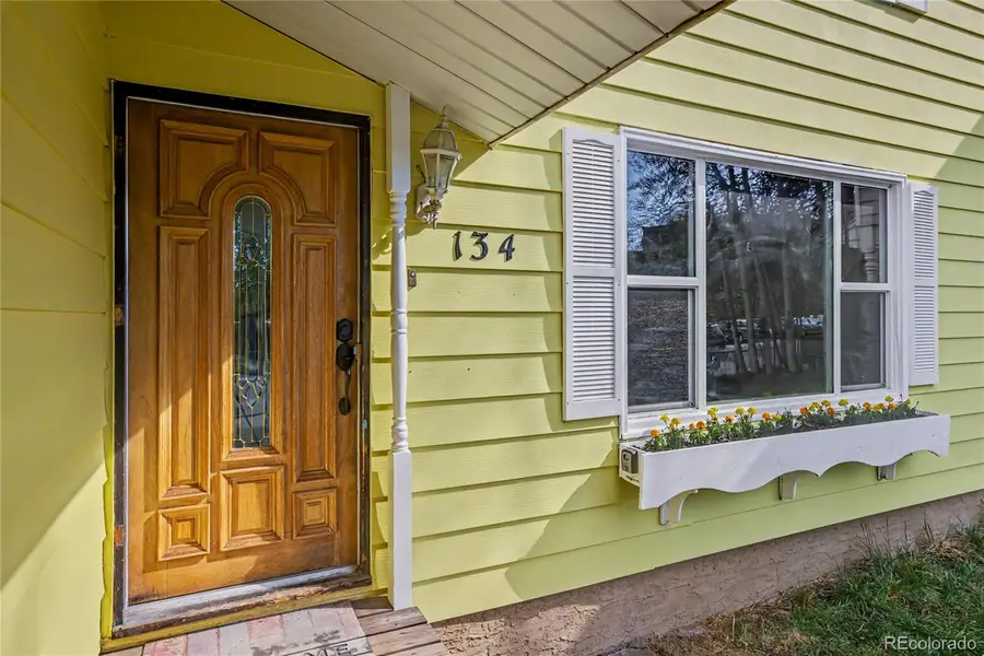 134 W 8th Street, Leadville, CO 80461 - #3